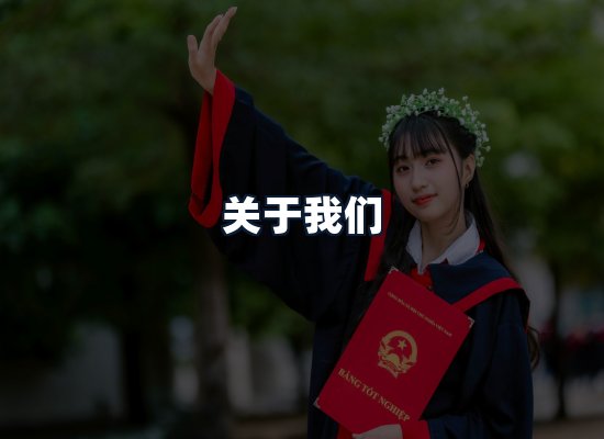 关于我们